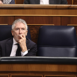 El ministro del Interior, Fernando Grande-Marlaska, durante una sesión de control al Gobierno, en el Congreso de los Diputados Eduardo Parra - Europa Press