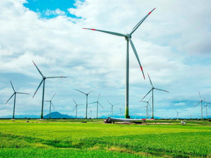 Imagen de molinos eólicos. TEMPOS ENERGÍA.