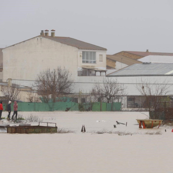 Exigen rapidez en las ayudas a la agricultura ante el impacto generalizado de las borrascas