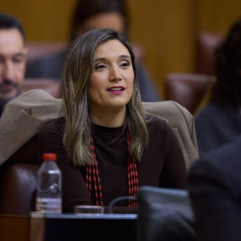 PSOE-A acusa al PP-A de bloquear la ILP de las mareas blancas sobre sanidad pública PSOE-A acusa al PP-A de bloquear la ILP de las mareas blancas sobre sanidad pública