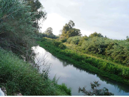 La Junta ha invertido 44 millones en limpiar cauces en la provincia desde 2019