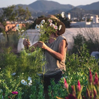 El PSIB impulsa una ley para ordenar las elecciones de las organizaciones agrarias en Baleares