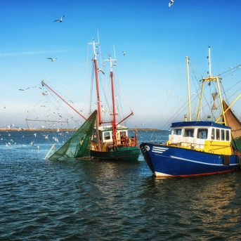 Malestar en la pesca andaluza por las ayudas del Ministerio que dejan fuera a Almería y Granada Malestar en la pesca andaluza por las ayudas del Ministerio que dejan fuera a Almería y Granada