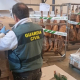 Intervenciones de productos fraudulentos por parte de la Guardia Civil. GUARDIA CIVIL