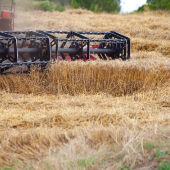 El Govern paga 5,7 millones en ayudas para medir la sostenibilidad agraria