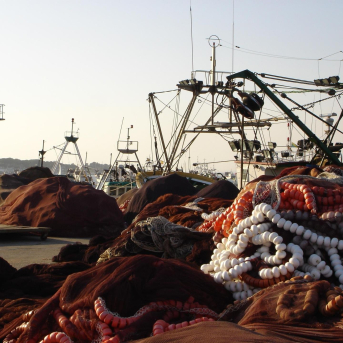 Gobierno e Instituto Español de Oceanografía inician este sábado una campaña para medir los recursos pesqueros en el Golfo de Cádiz