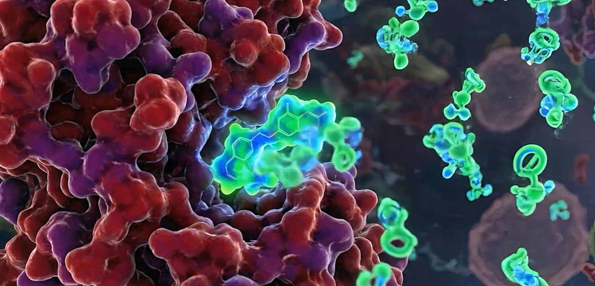 Imagen de una representación del proyecto. VITHAS Imagen de una representación del proyecto. VITHAS