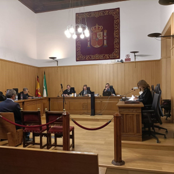 Juicio en la Audiencia de Granada el 24 de septiembre de 2024 por el robo de la talla de Santa Margarita que iba a subastarse en Nueva York. EUROPA PRESS