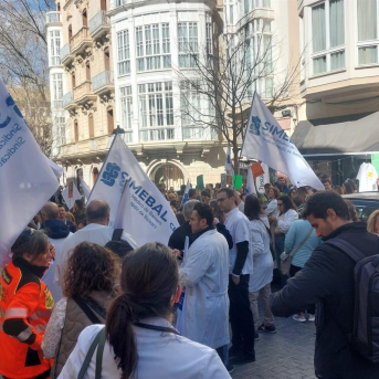 Concentración de los médicos frente a la Delegación del Gobierno en Baleares para protestar contra el Estatuto Marco. EUROPA PRESS