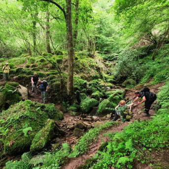 Ecologistas en Acción Cantabria alerta de que la inversión forestal se ha reducido a la mitad desde 2005