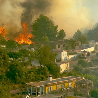 Una veintena de agricultores de Almuñécar solicitarán las ayudas municipales tras el incendio de 2024 Una veintena de agricultores de Almuñécar solicitarán las ayudas municipales tras el incendio de 2024