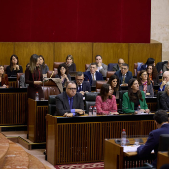 El PSOE-A impulsa en el Parlamento un grupo de trabajo para la reconstrucción de Andalucía El PSOE-A impulsa en el Parlamento un grupo de trabajo para la reconstrucción de Andalucía