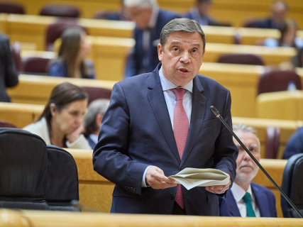 El ministro de Agricultura, Pesca y Alimentación, Luis Planas, durante una sesión de Control en el Senado, a 7 de mayo de 2024, en Madrid (España).  Jesús Hellín - Europa Press