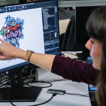 Hallan un mecanismo que permite a las células degradar proteínas sin consumir energía, útil en alternativas terapéuticas CSIC