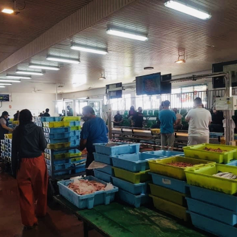 Imagen de archivo de la Lonja de Motril (Granada) AUTORIDAD PORTUARIA DE MOTRIL Imagen de archivo de la Lonja de Motril (Granada) AUTORIDAD PORTUARIA DE MOTRIL