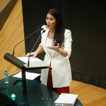 La concejala de Vox, Carla Toscano, durante un pleno extraordinario del Ayuntamiento de Madrid | Europa Press La concejala de Vox, Carla Toscano, durante un pleno extraordinario del Ayuntamiento de Madrid | Europa Press