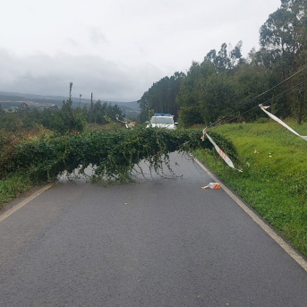 Un árbol caído sobre el tendido eléctrico corta la circulación en una carretera de Carballo (A Coruña). CONCELLO CARBALLO Un árbol caído sobre el tendido eléctrico corta la circulación en una carretera de Carballo (A Coruña). CONCELLO CARBALLO