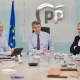 El líder del PP, Alberto Núñez Feijóo, preside la reunión del comité de dirección del PP. DAVID MUDARRA-PP