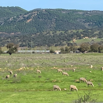 Asaja-Huelva exige que la Sierra de Aracena y Picos de Aroche entre en las ayudas por temporales