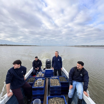 La Junta suelta 85.000 almejas finas en el río Piedras para regenerar los bancos y reimpulsar la acuicultura