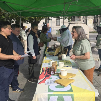 Apicultores cántabros llaman a elegir miel local frente a mezclas sintéticas