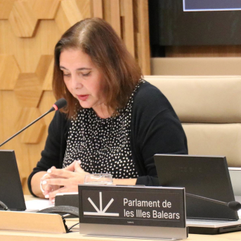 El PP tumba la comparecencia de García en el Parlament sobre el plan de contingencia invernal