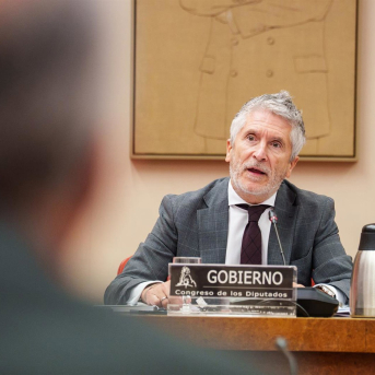 Marlaska defiende en el Congreso las ventajas de la V16 frente a bulos y desinformación