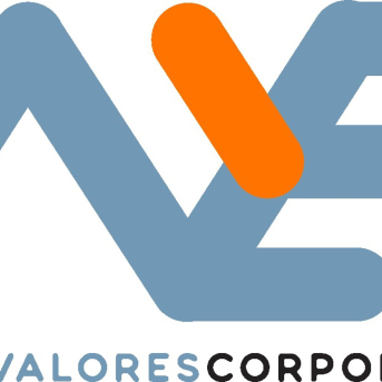 Logo de Nyesa NYESA Logo de Nyesa NYESA