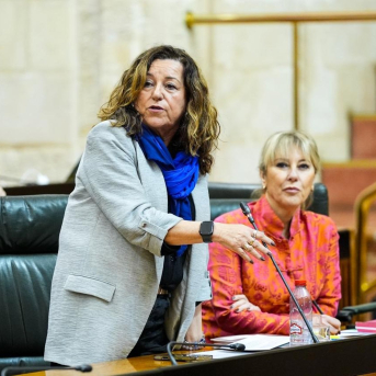 La Junta plantea cambiar al acosador de centro por sistema y abre el debate para que sea delito