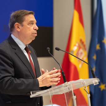 El ministro de Agricultura, Pesca y Alimentación, Luis Planas, Eduardo Parra - Europa Press El ministro de Agricultura, Pesca y Alimentación, Luis Planas, Eduardo Parra - Europa Press