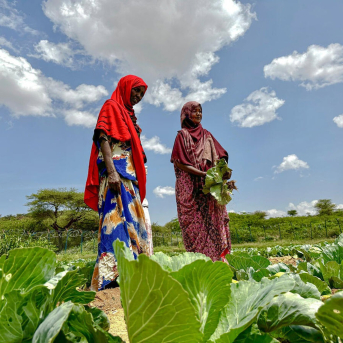 Dos mujeres en un cultivo en Somalia AHMED OSMAN Dos mujeres en un cultivo en Somalia AHMED OSMAN