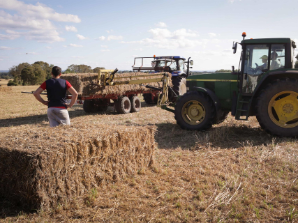 Greenpeace exige vetar a los fondos de inversión de las ayudas de la PAC y frenar los oligopolios agrarios