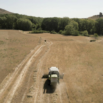 El Tribunal de Cuentas Europeo asegura que la innovación agrícola no se fomenta lo suficiente en la UE. DIPUTACIÓN DE GUADALAJARA El Tribunal de Cuentas Europeo asegura que la innovación agrícola no se fomenta lo suficiente en la UE. DIPUTACIÓN DE GUADALAJARA
