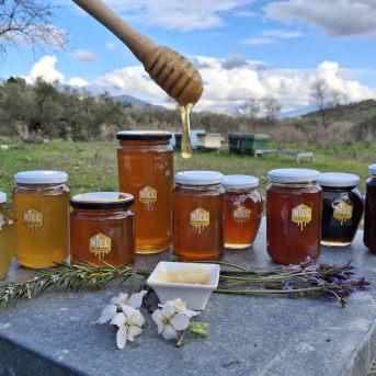 El sector apícola español gana impulso en 2025 con un 12% más de exportaciones de miel El sector apícola español gana impulso en 2025 con un 12% más de exportaciones de miel