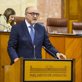 El Parlamento andaluz tumba la PNL de Vox sobre supuesta censura del Gobierno en redes sociales