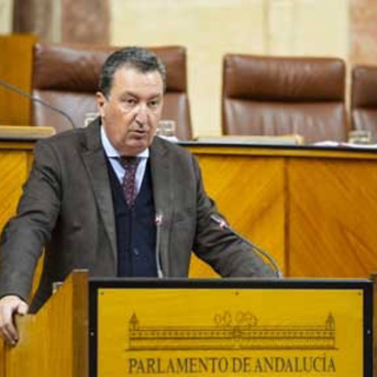PP-A y Vox sacan adelante en el Parlamento andaluz la petición al Estado de ampliar las ayudas al temporal con avales y préstamos ICO