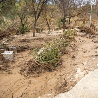 El Gobierno activa el plazo para declarar daños de las borrascas en caminos rurales y regadíos El Gobierno activa el plazo para declarar daños de las borrascas en caminos rurales y regadíos