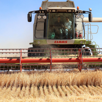 Castilla-La Mancha abona desde este viernes 8 millones a 286 jóvenes para impulsar su entrada en el campo Castilla-La Mancha abona desde este viernes 8 millones a 286 jóvenes para impulsar su entrada en el campo