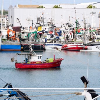 Los pescadores cántabros confían en una gran costera de la anchoa desde el 2 de marzo Los pescadores cántabros confían en una gran costera de la anchoa desde el 2 de marzo