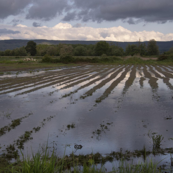El Parlamento reclama al Gobierno ayudas extra para el campo dañado por el tren de borrascas El Parlamento reclama al Gobierno ayudas extra para el campo dañado por el tren de borrascas