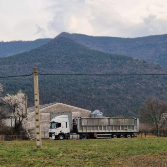 Arranca el vaciado sanitario de la granja con Dermatosis Nodular Contagiosa en Borrastre (Huesca) Arranca el vaciado sanitario de la granja con Dermatosis Nodular Contagiosa en Borrastre (Huesca)