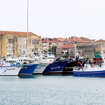 La apertura de la costera de la anchoa se aplaza a este martes La apertura de la costera de la anchoa se aplaza a este martes