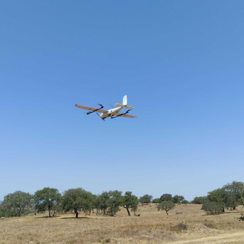 Crean un modelo 3D innovador para monitorizar y gestionar ecosistemas heterogéneos y agroforestales