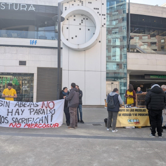Apicultores toman las calles de Oviedo con una cata protesta y denuncian fraude en la miel