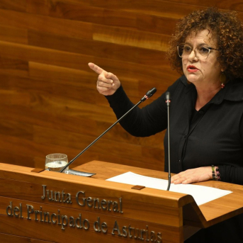 Polledo exige a Del Arco que se marche mientras la consejera reivindica la fortaleza del sistema social asturiano