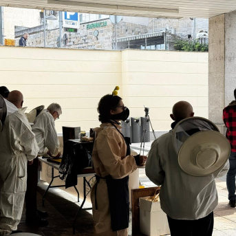 Apicultores se movilizan en Ourense y Lugo contra la miel pirata y el acuerdo con Mercosur