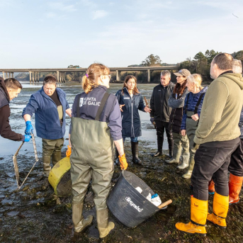 Mar asume que se frustra la recuperación otoñal de los bancos marisqueros y alerta de vuelta al punto de partida
