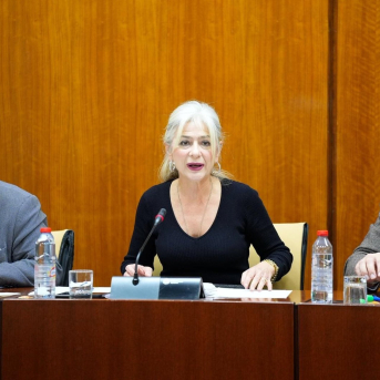 Veintiún aspirantes concurren a la dirección del Centro Andaluz de Arte Contemporáneo Veintiún aspirantes concurren a la dirección del Centro Andaluz de Arte Contemporáneo