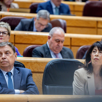 Planas insiste en que ya trabajan para recuperar el estatus de país libre de PPA Planas insiste en que ya trabajan para recuperar el estatus de país libre de PPA