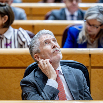El ministro del Interior, Fernando Grande Marlaska, durante una sesión de control al Gobierno en el Senado Ricardo Rubio - Europa Press El ministro del Interior, Fernando Grande Marlaska, durante una sesión de control al Gobierno en el Senado Ricardo Rubio - Europa Press